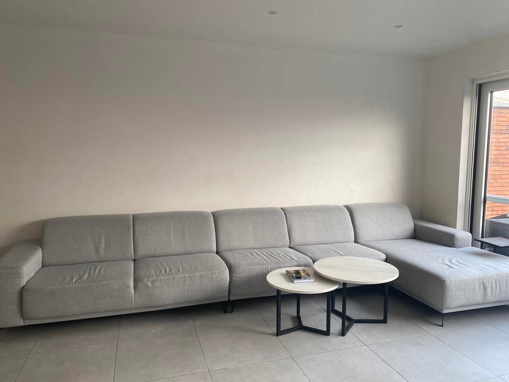 Tapis de salon gris clair 45,5 cm de long avec chaise longue, Enlèvement, Utilisé, Tissus