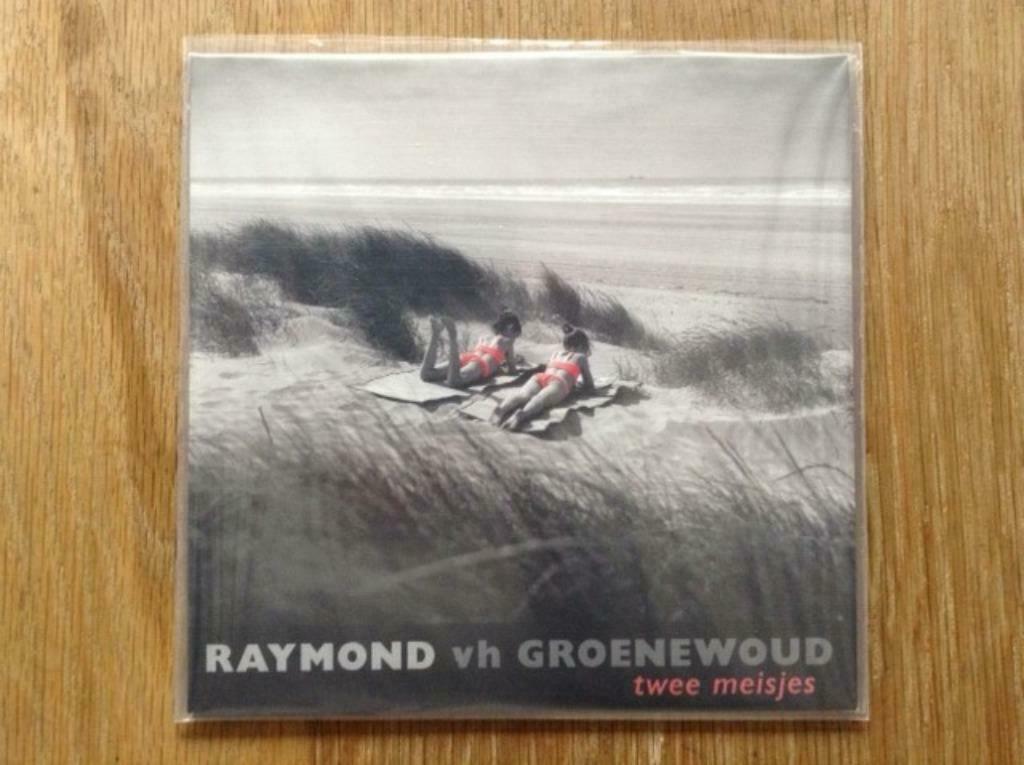 single raymond van het groenewoud, Cd's en Dvd's, Ophalen of Verzenden, Nederlandstalig