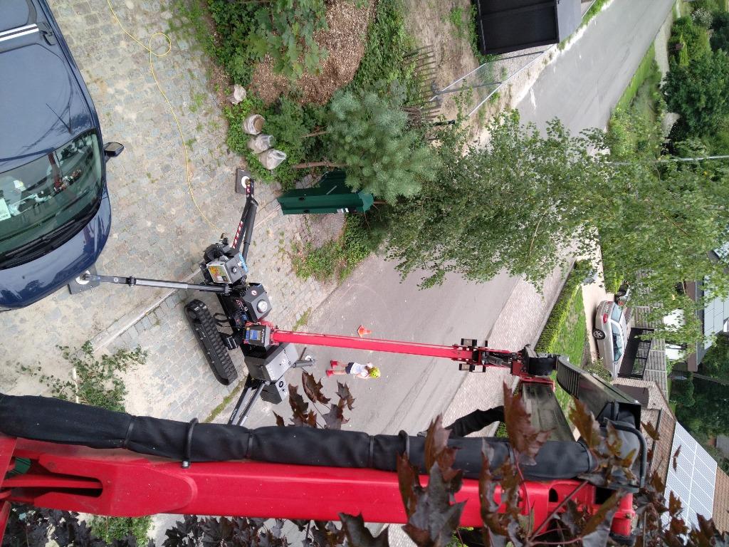 Boomverzorging, Tuin en Terras, Ophalen