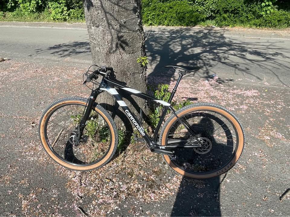 Cannondale Scalpel HT Carbon 2 Cannondale, Ophalen of Verzenden, Zo goed als nieuw, 26 inch of meer, Versnellingen