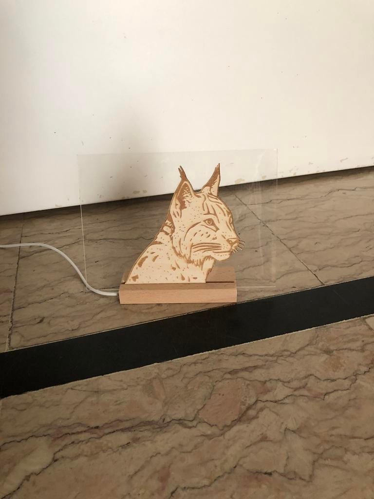 Petite lampe veilleuse chat, Maison & Meubles, Accessoires pour la Maison | Étagères murales & Rayons de bibliothèque, Enlèvement