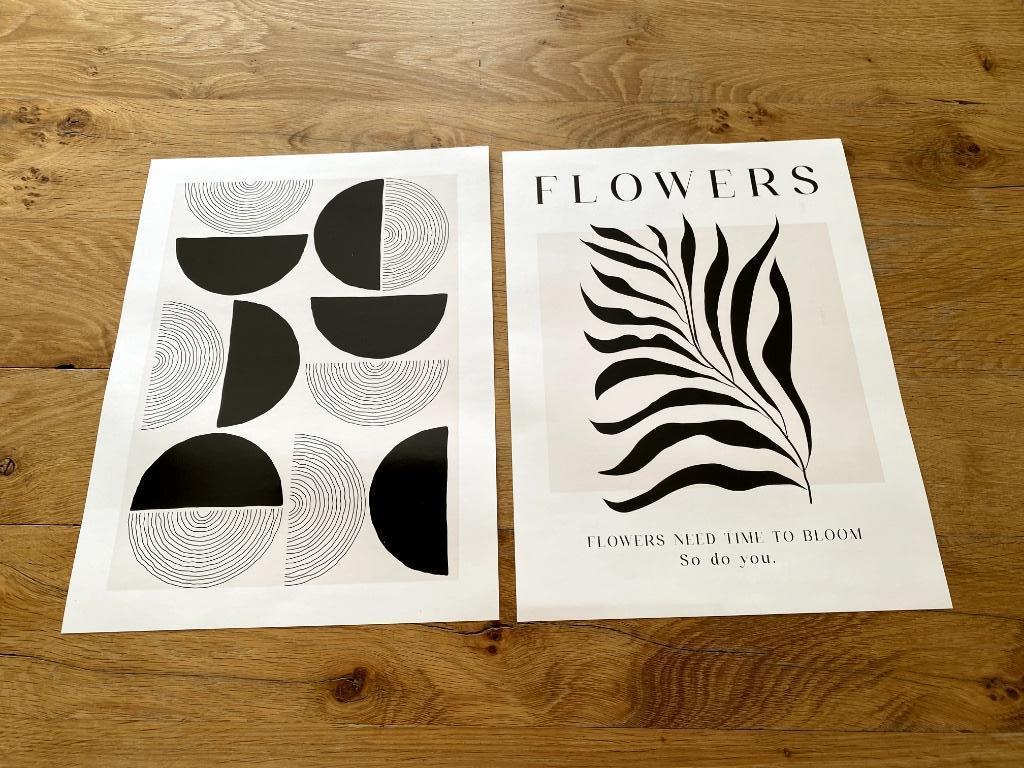 2 zwarte/witte posters A3 formaat, Enlèvement ou Envoi, Comme neuf, Rectangulaire vertical, Autres sujets/thèmes