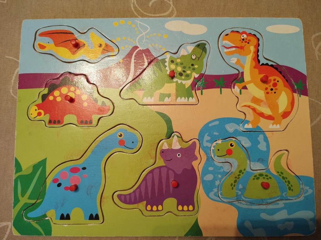 Houten inlegpuzzel, goede staat, Ophalen of Verzenden, Minder dan 10 stukjes, Gebruikt, Van hout