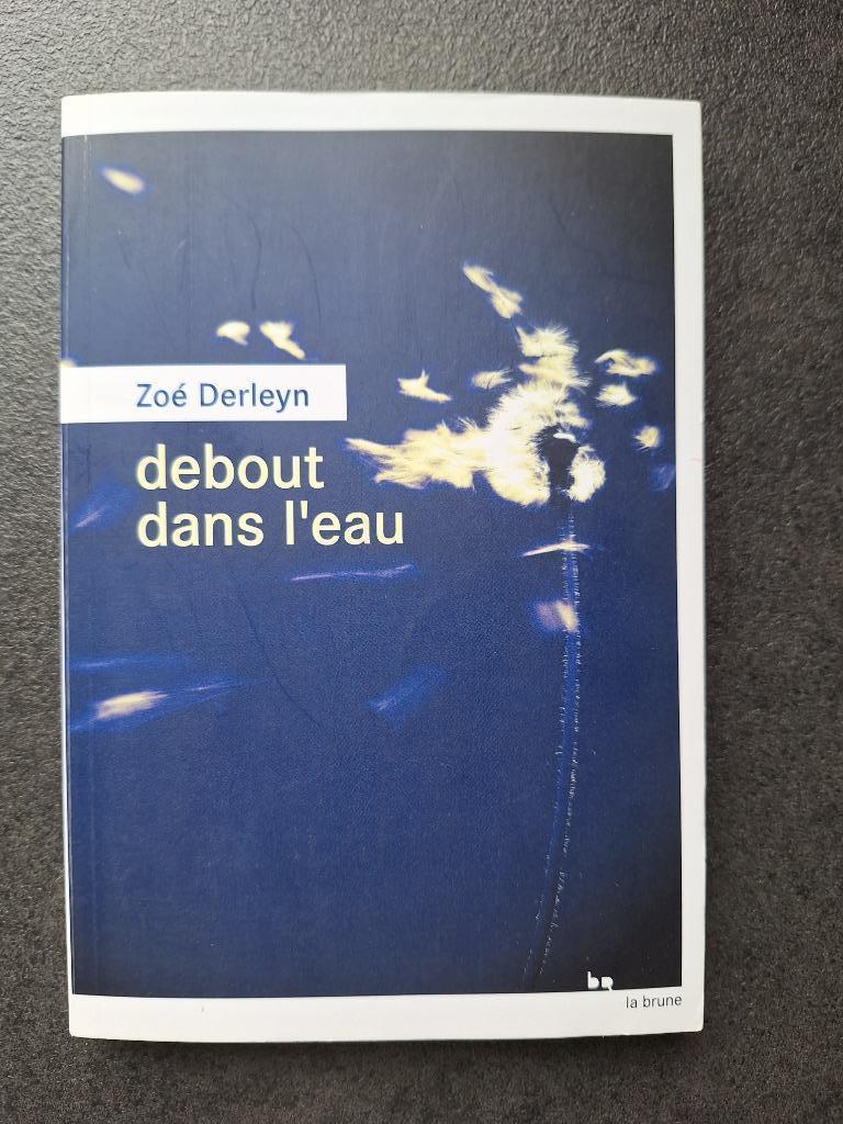 Zoé Derleyn - Debout dans l'eau, Livres, Romans, Comme neuf, Belgique, Enlèvement
