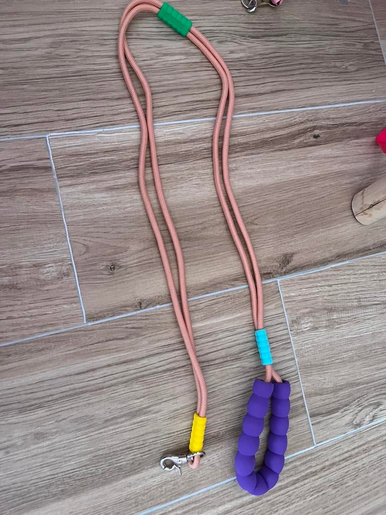 Laisse chien accessoire animaux dog doublee, Enlèvement ou Envoi