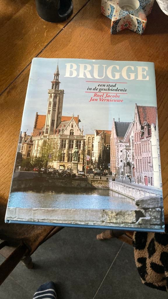 Brugge , een stad in de geschiedenis, Ophalen of Verzenden, Zo goed als nieuw