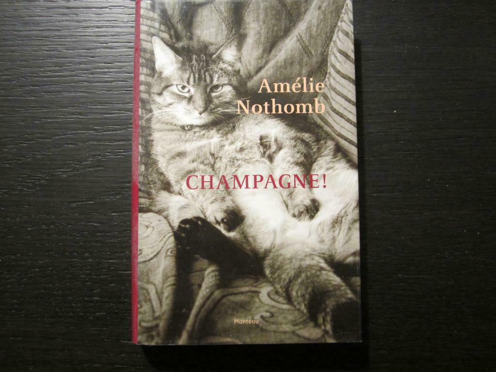 Champagne !  -Amélie Nothomb-, Ophalen of Verzenden