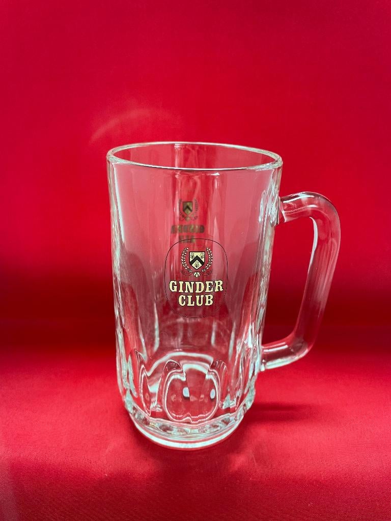 bierpot Ginder Ale Martinas, Verzamelen, Ophalen of Verzenden, Gebruikt, Bierglas