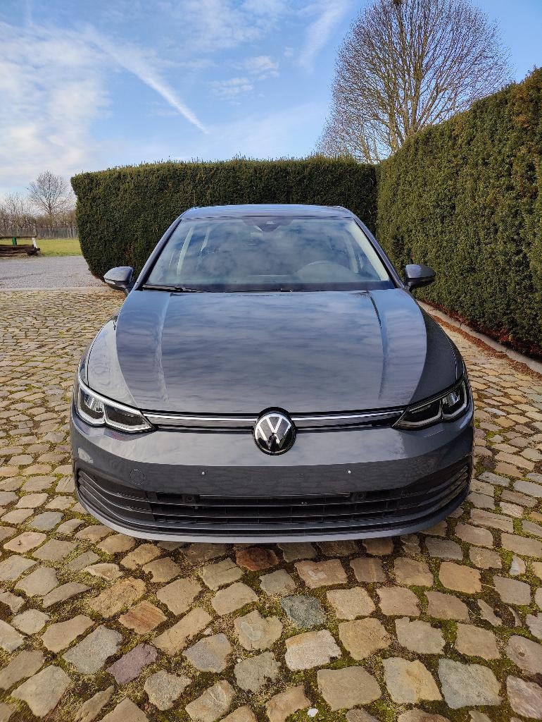 Volkswagen Golf 1.0 eTSI Life Business OPF DSG, Auto's, Stof, Lichtsensor, https://public.car-pass.be/vhr/65a6d13f-0196-419e-9512-4b60e5bd6cb5