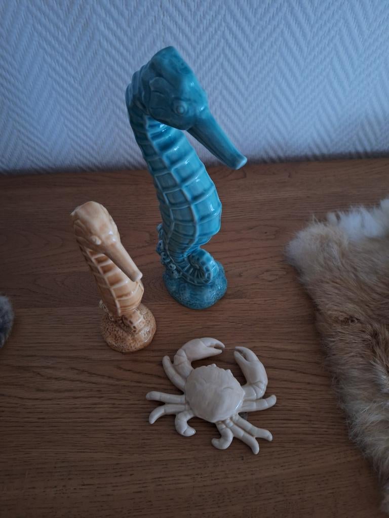 Zee paardtjes en crab, Ophalen