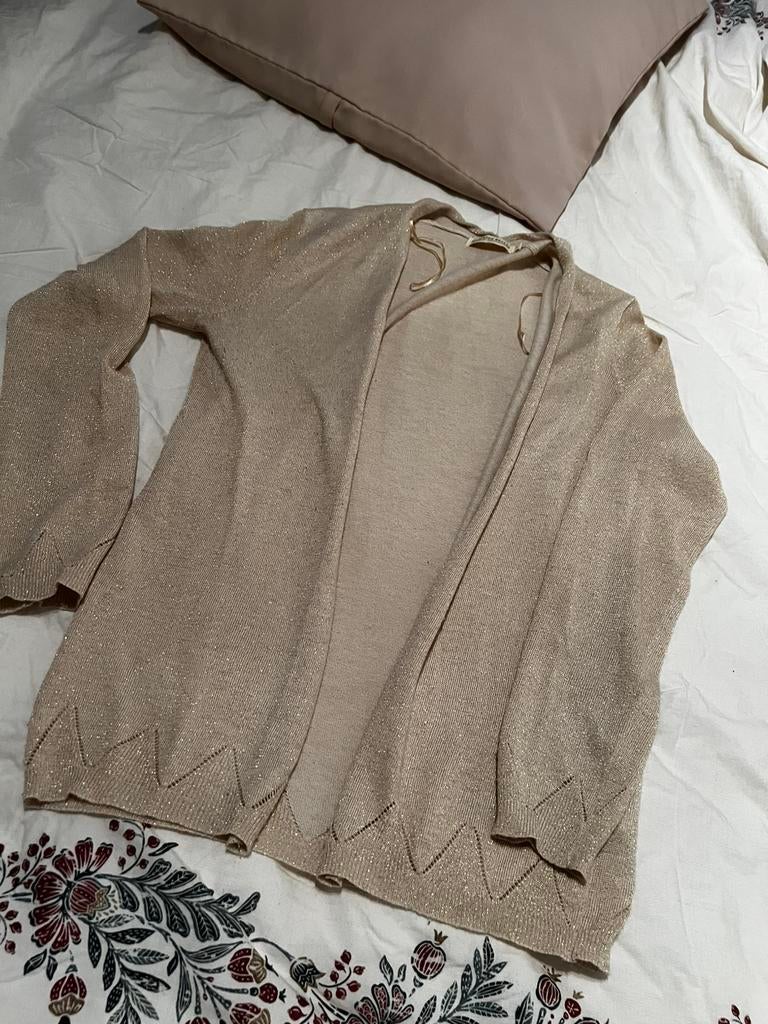 Little Star Glittervest, Petit Etoile, Ophalen of Verzenden, Roze, Maat 36 (S)