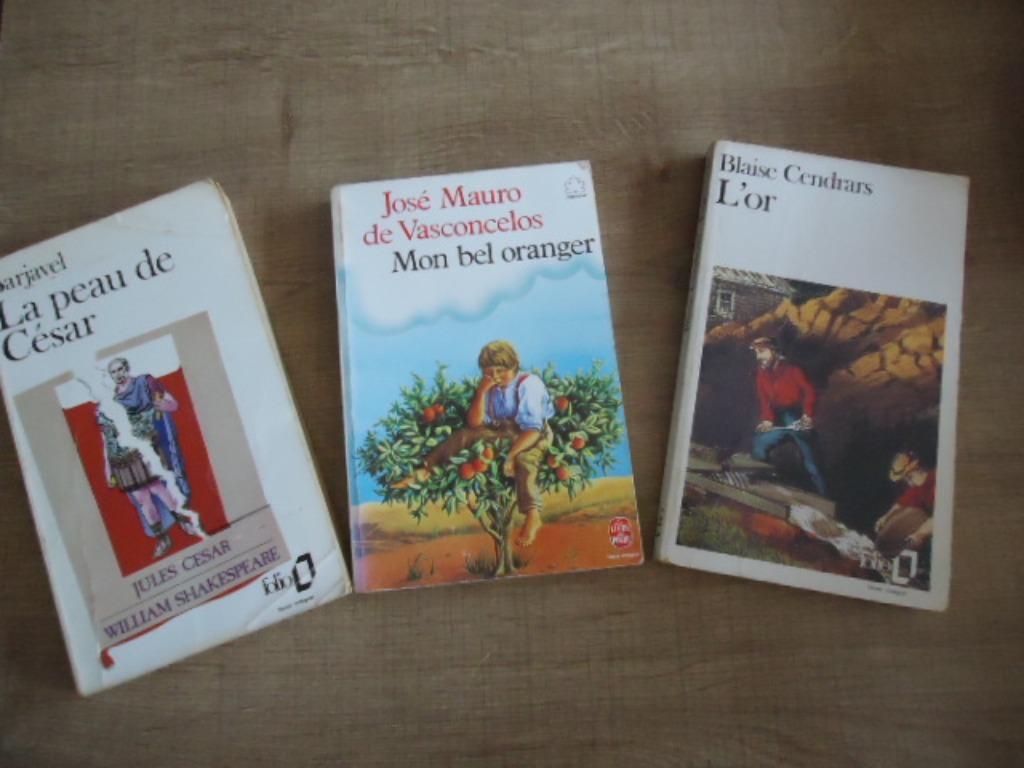 3 livrets en français, Enlèvement ou Envoi, Utilisé, Fiction