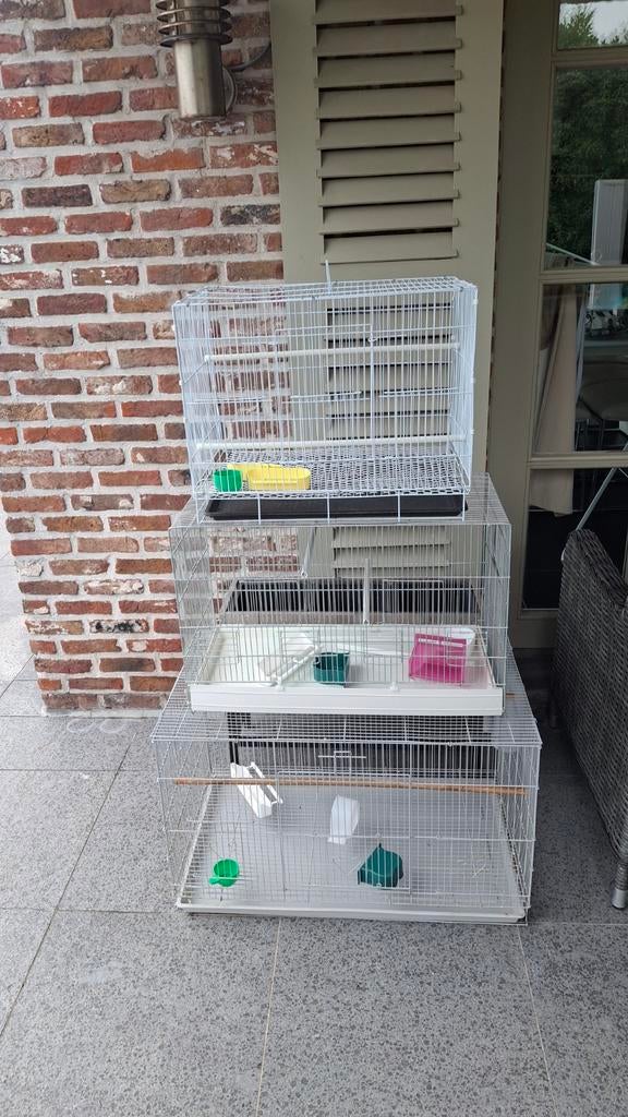 Draadkooien, Dieren en Toebehoren, Ophalen