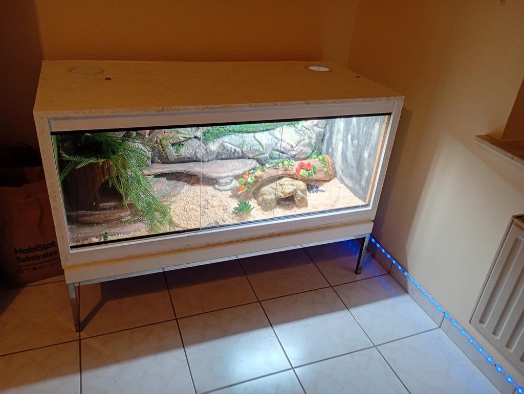 OSB terrarium, Dieren en Toebehoren, Ophalen, Zo goed als nieuw, Terrarium of Paludarium