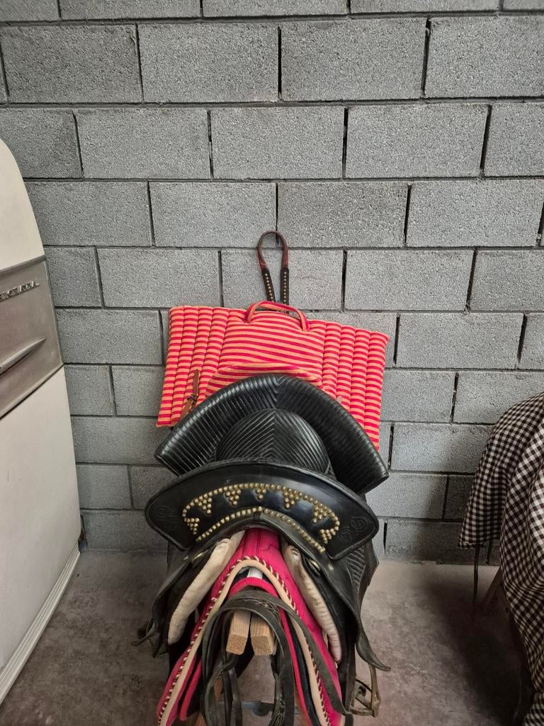 Vend, Animaux & Accessoires, Enlèvement, Dressage