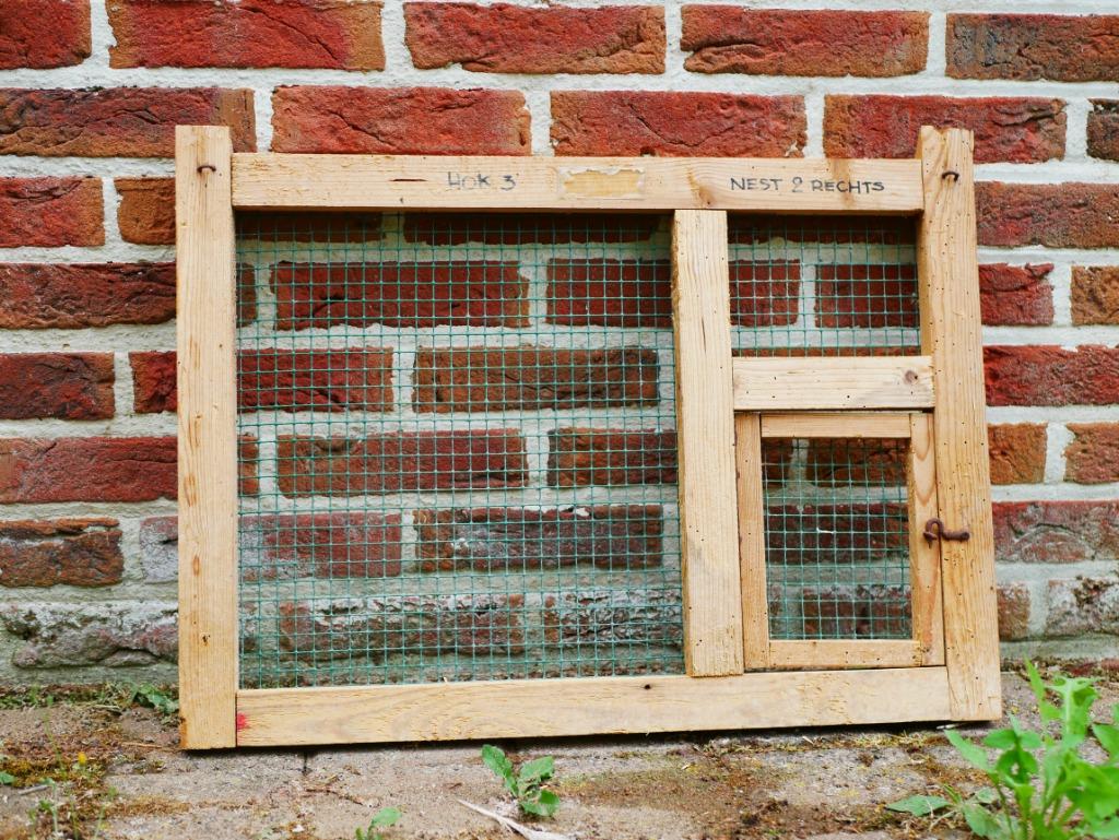 portes pour casiers pigeons, Dieren en Toebehoren, Meerdere dieren, Postduif