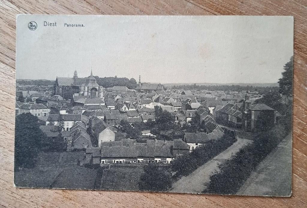 postkaart Diest - Panorama, Verzamelen, Ophalen of Verzenden, Voor 1920, Vlaams-Brabant