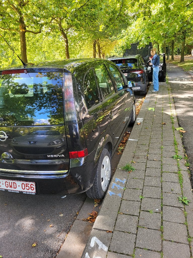 Opel Meriva, Particulier, Essence, Achat, Meriva