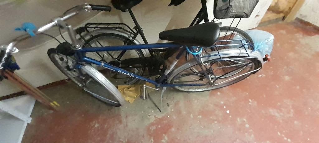 VELO FLANDRIA (1979), Sports & Fitness, Enlèvement, Utilisé, Autres types
