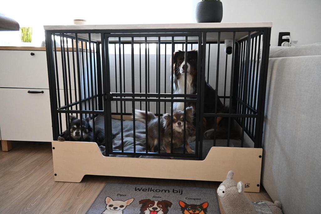 Hondenbench, Dieren en Toebehoren, Ophalen, Zo goed als nieuw