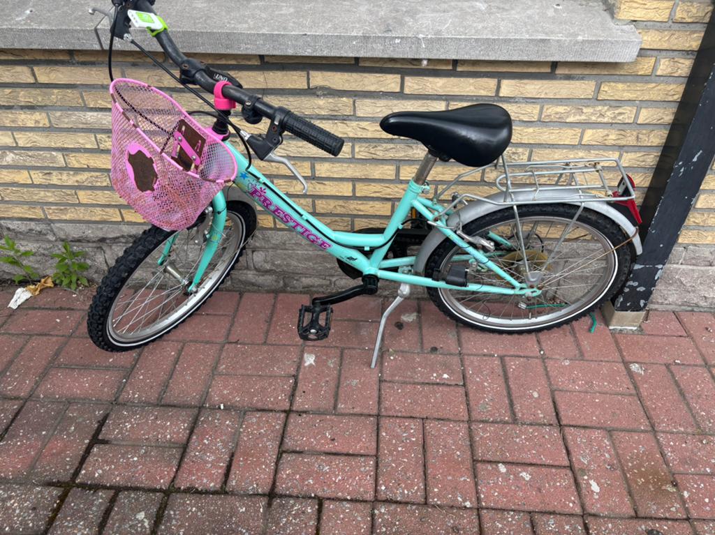 Kinder fiets, Ophalen, Gebruikt, 20 inch, Versnellingen