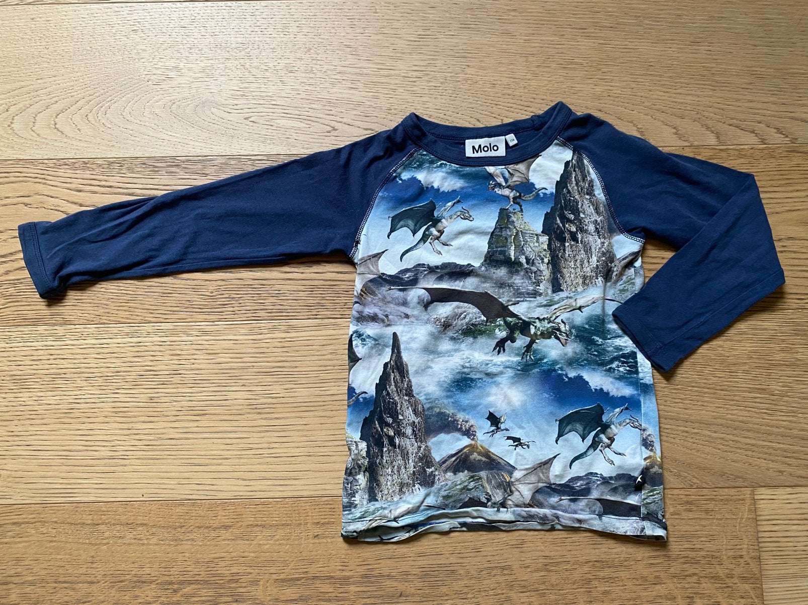 Longsleeve met pteranodons van Molo - maat 116, Kinderen en Baby's, Ophalen of Verzenden, Gebruikt, Jongen of Meisje, Shirt of Longsleeve
