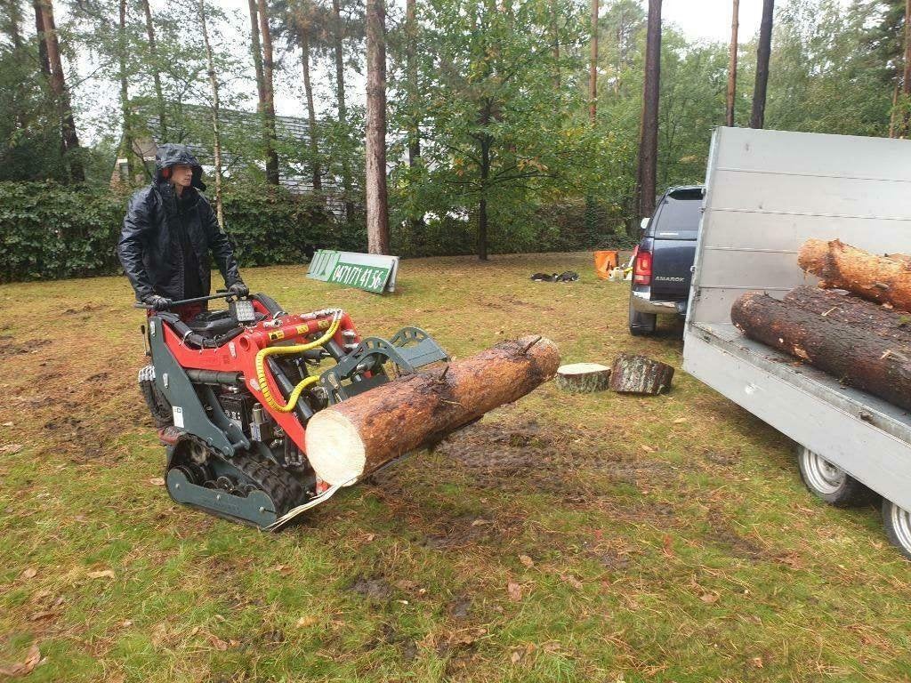 Travaux d'abattage / démontage / élagage d'arbres, Jardin & Terrasse, Enlèvement