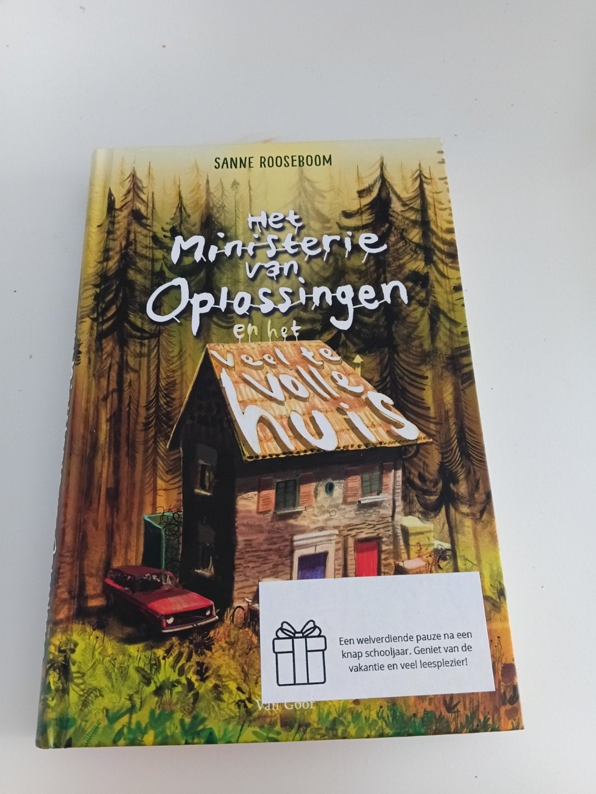 het Ministerie van Oplossingen en het veel te volle huis, Boeken, Ophalen, Nieuw, Sanne Roosboom