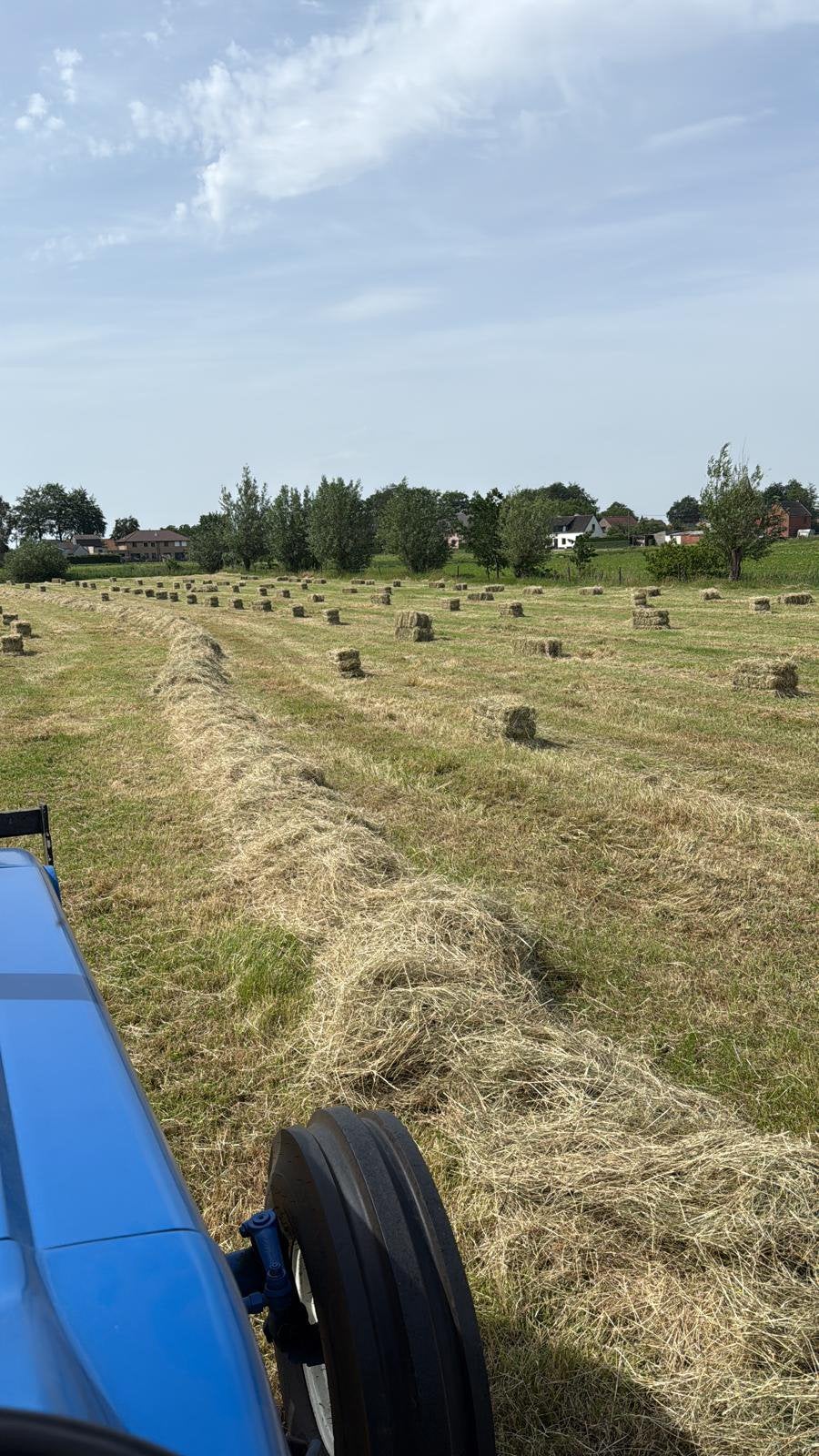 Vers hooi, Ophalen