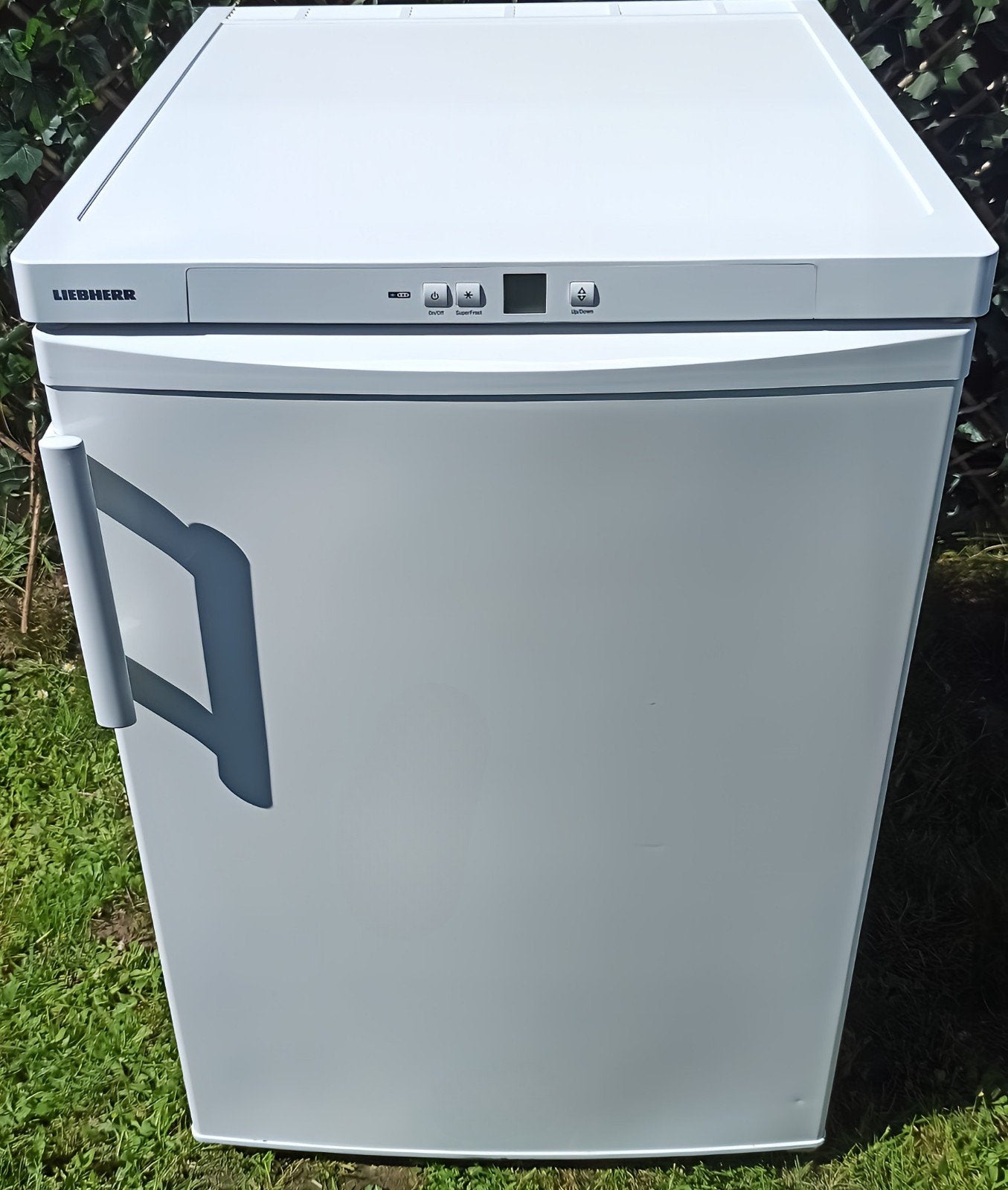 Liebherr diepvries, Elektronische apparatuur, Vriezers en Diepvrieskisten, Ophalen of Verzenden