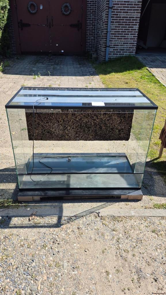 Grand terrarium, Enlèvement