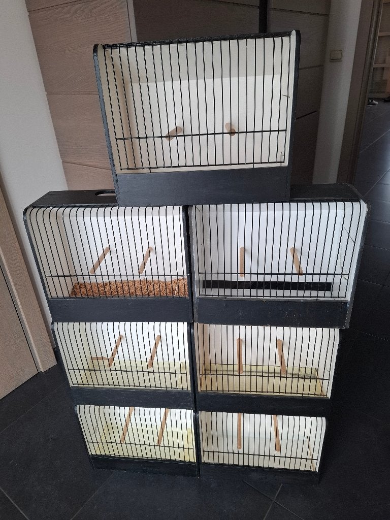 7 TT kooien, Dieren en Toebehoren, Ophalen, Gebruikt, Hout, Overige typen
