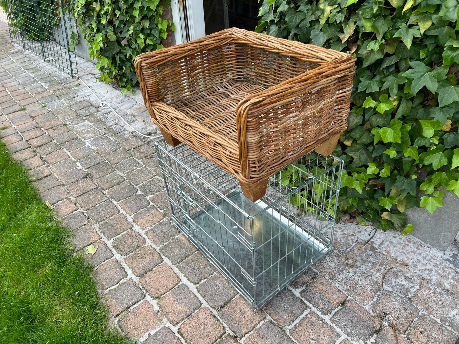 Rieten hondenmand met hondenbench en hondendraagtas, Enlèvement, Comme neuf