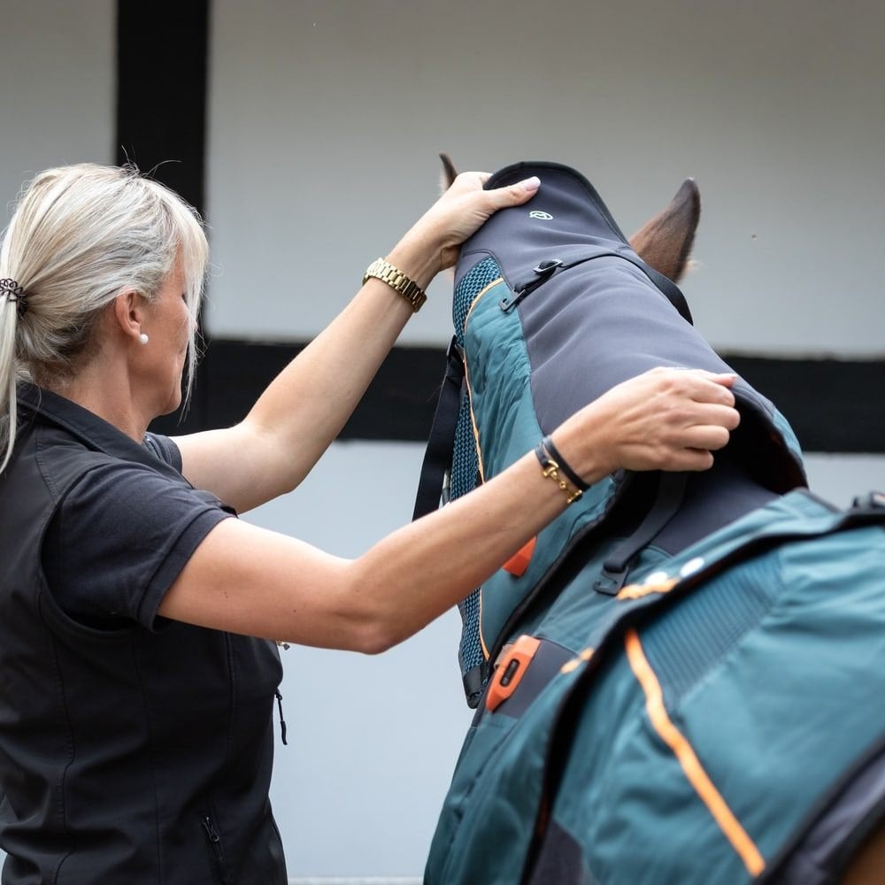 Bemer hals applicator, Animaux & Accessoires, Chevaux & Poneys | Produits de soin, Comme neuf, Autres types, Autres marques, Enlèvement