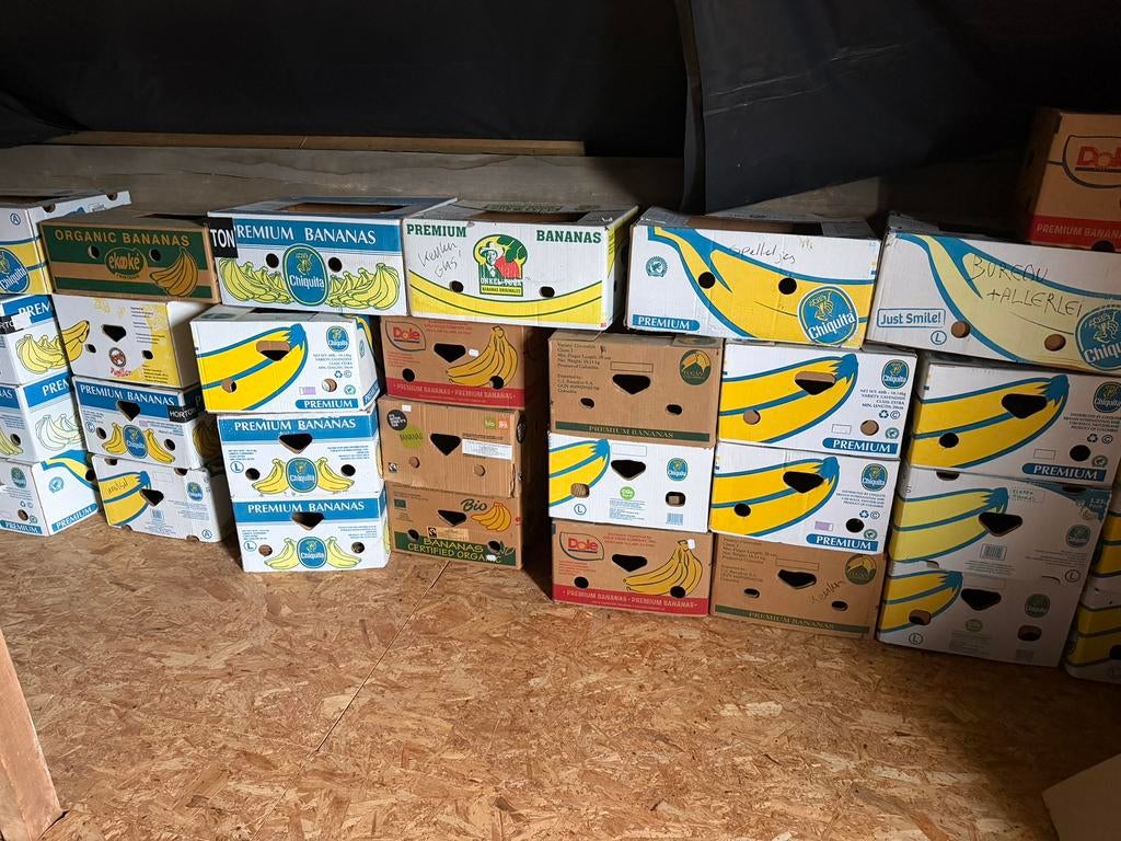 Bananendozen 25 stuks, Enlèvement, Utilisé, Boîte