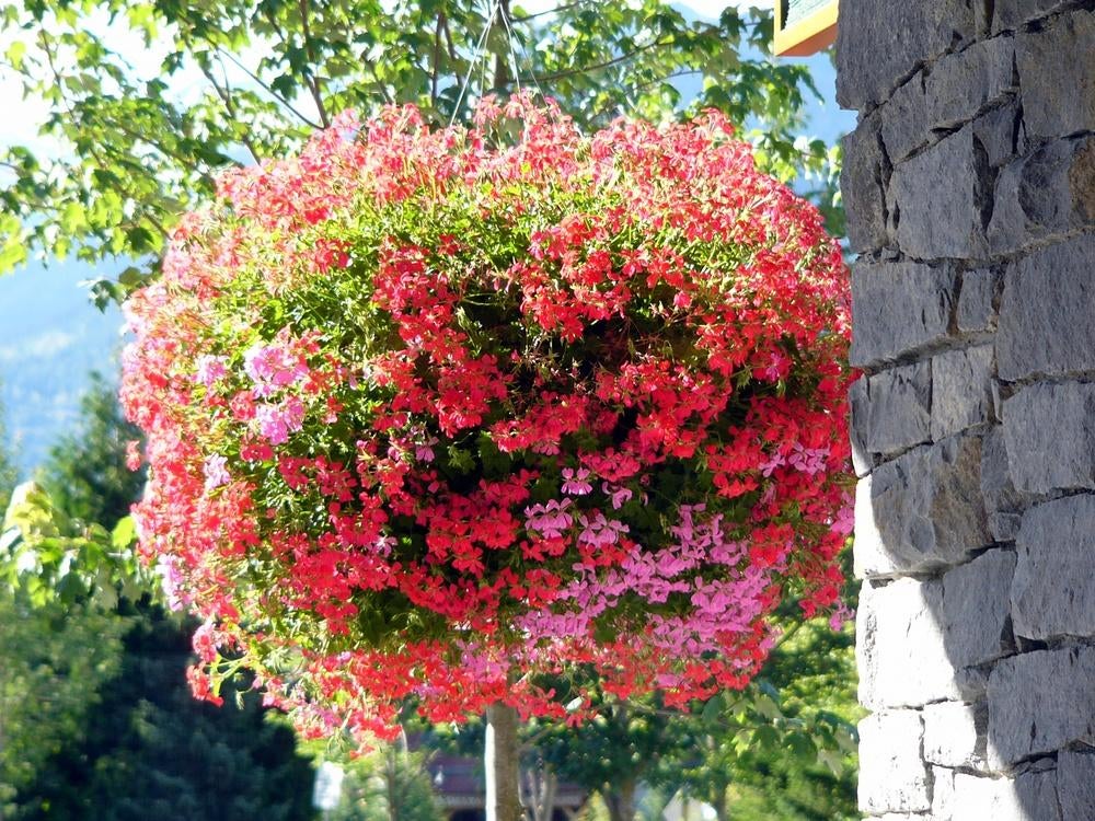 3 + 4 hanging basket met draad en ketting , nooit gebruikt, Tuin en Terras, Ophalen