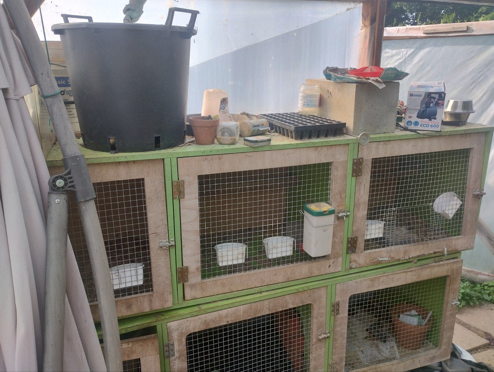 cages à lapins/enclos à cailles gratuits, Moins de 60 cm, Cage, Enlèvement, Utilisé