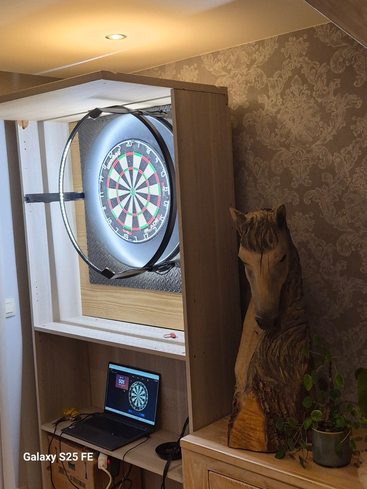 complete dartkast incl bord,verlichting, autoscore systeem, Sport en Fitness, Ophalen of Verzenden, Gebruikt, Dartbord met pijlen