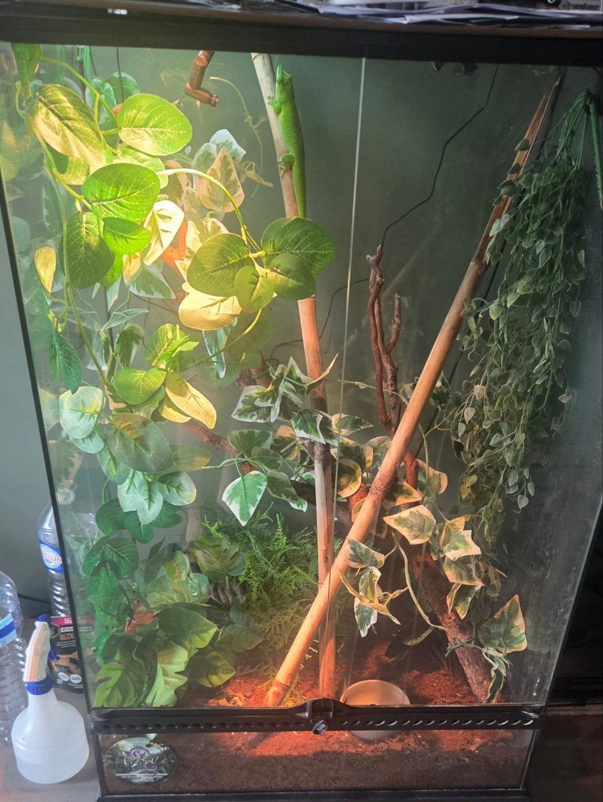 terrarium  b 60 x h 90x d 45, Animaux & Accessoires, Enlèvement