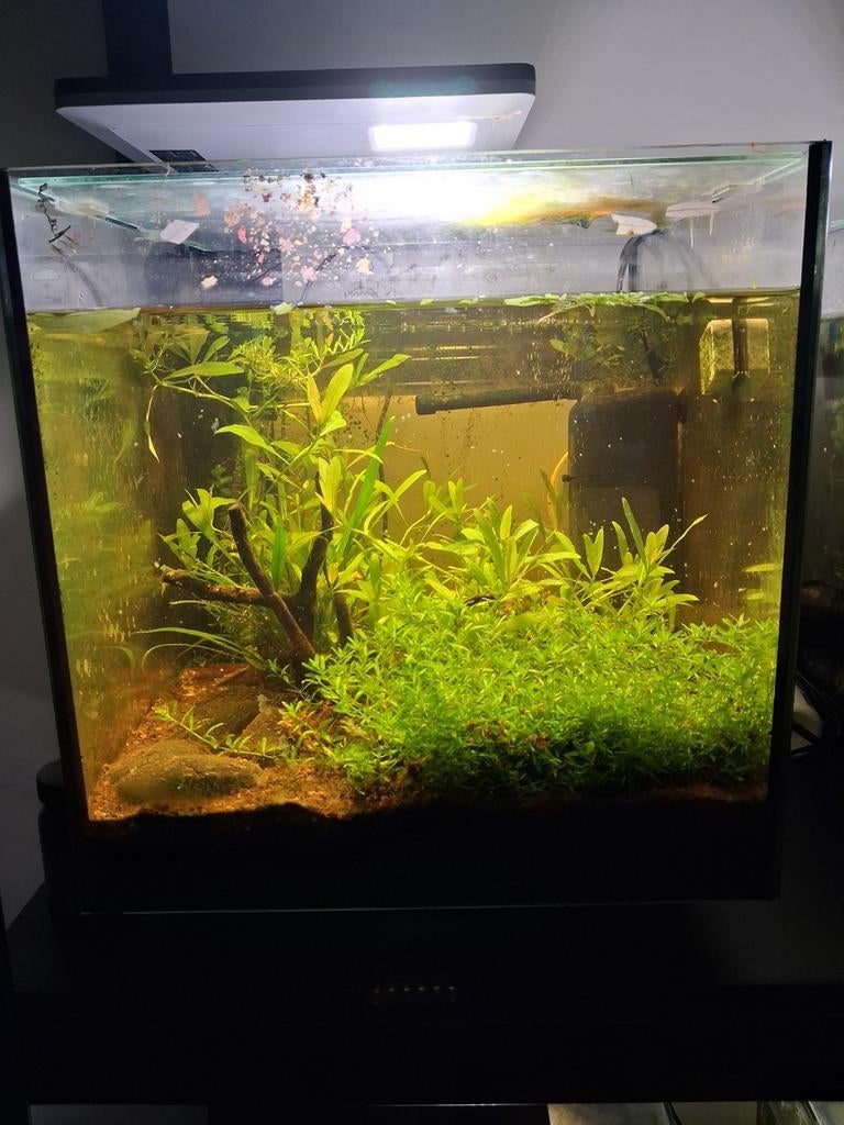 Aquarium superfish QubiQ 30 pro, Ophalen, Superfish