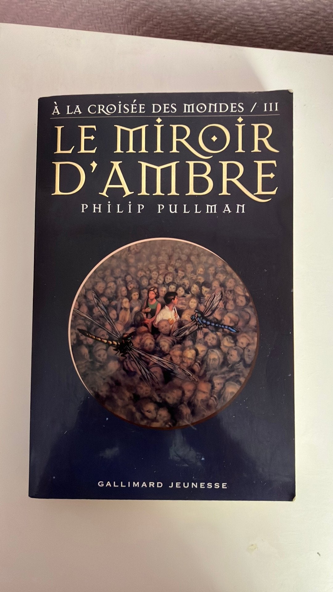 Le miroir d’Ambre, Enlèvement ou Envoi, Comme neuf