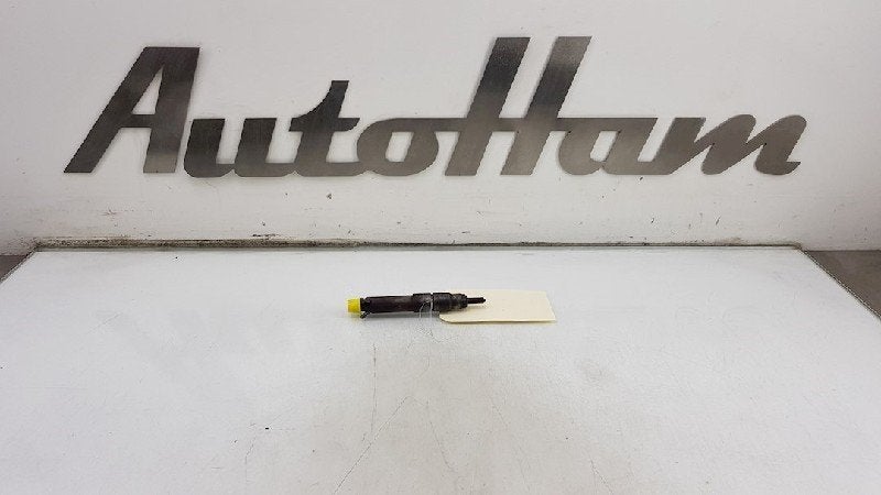 INJECTEUR FAP Seat Leon (1M1) (|038130202A|0432193595|), Dhr. J. Ham, Administratie@autoham.nl, Utilisé, Seat
