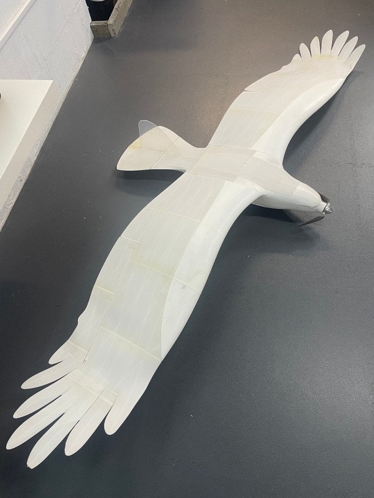 PlanePrint Eagle, Ophalen, Zo goed als nieuw, Elektro, RTF (Ready to Fly)