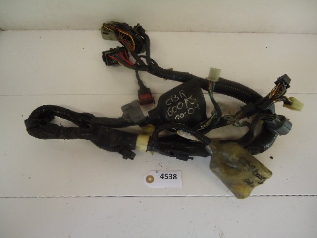 CBR600FS 2001 - 2002 Honda Kabelboom D1-16751