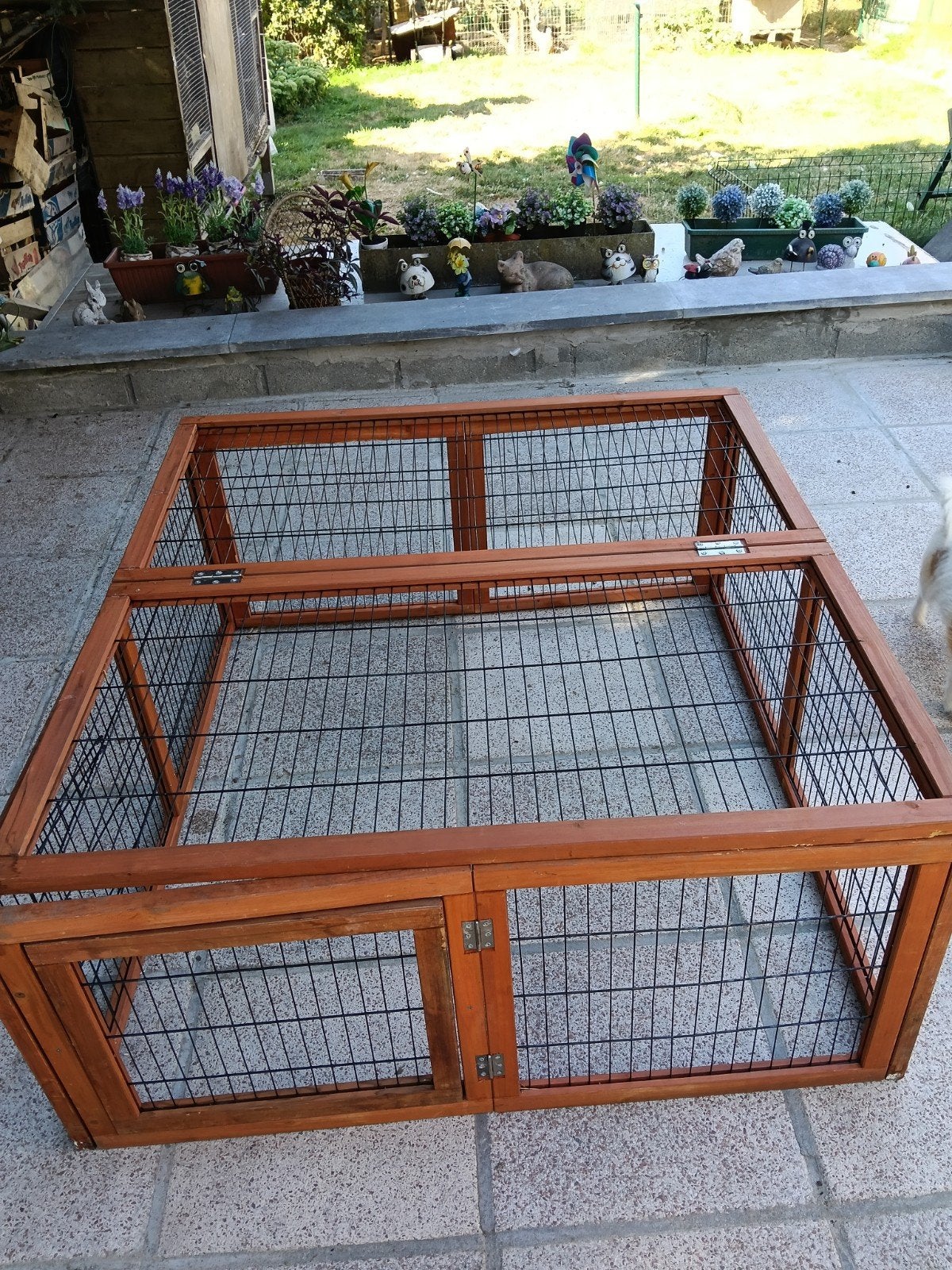 dierenren, Dieren en Toebehoren, Knaagdieren en Konijnen | Hokken en Kooien, Ophalen of Verzenden, Ren, Cavia