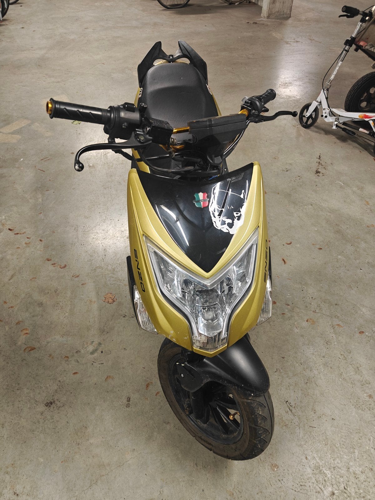 gts enzo naked  a klasse, Autres modèles, Enlèvement, Utilisé, Classe A (25 km/h)