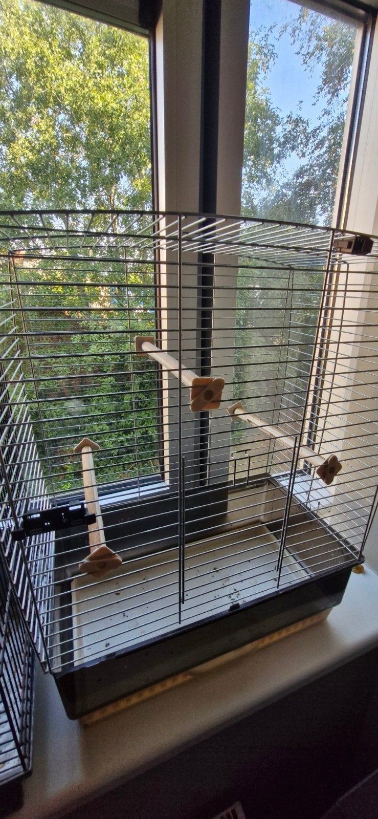 Grote vogelkooi + zebravink, Dieren en Toebehoren, Ophalen, Gebruikt, Vogelkooi