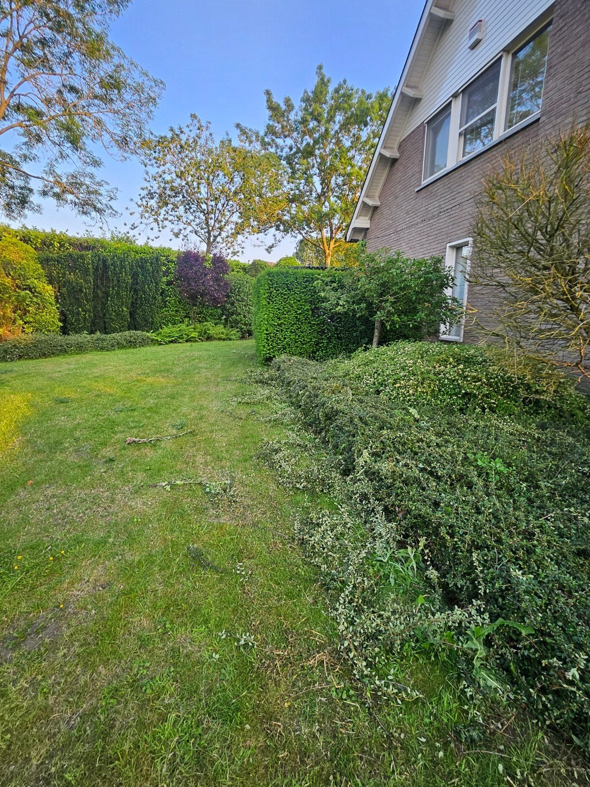 Tuinman gezocht, Tuin en Terras, Ophalen