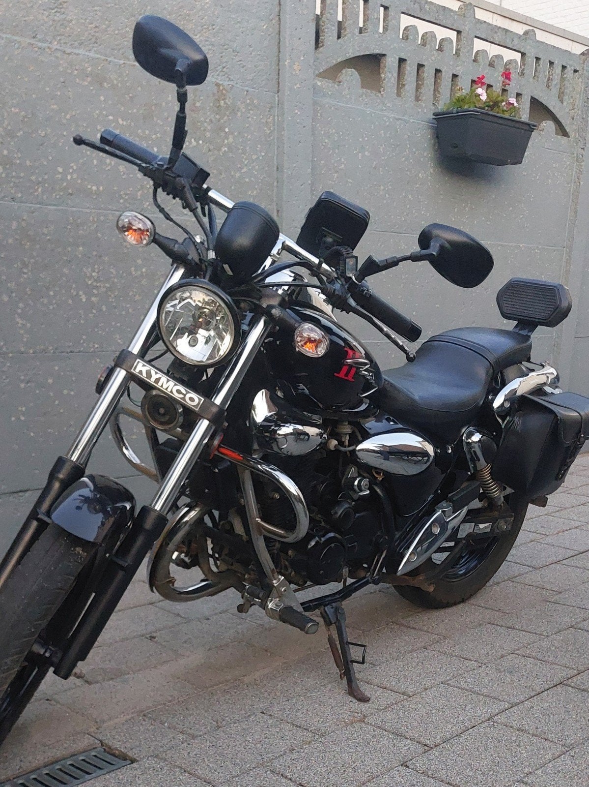 MOTER TE KOOP, Bedrijf, Nieuw