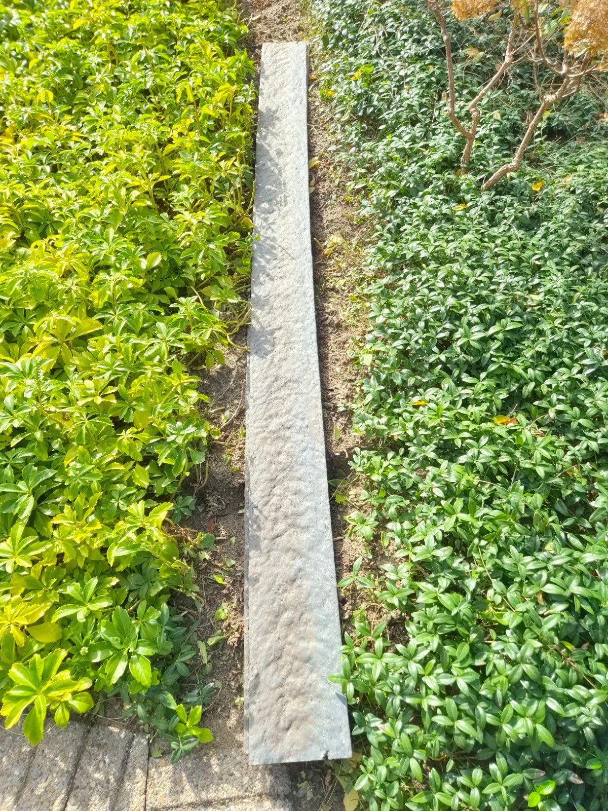 Ecolat, Tuin en Terras, Ophalen